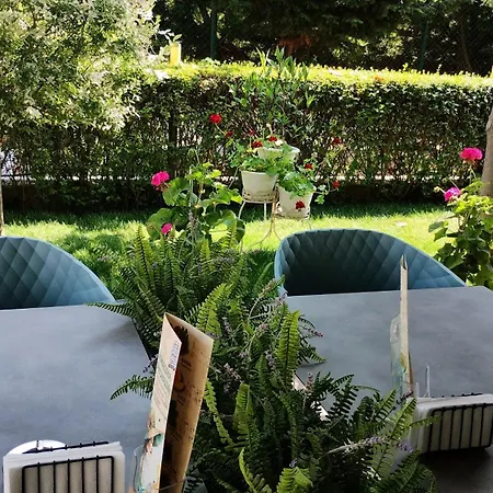 Sunny Flower Family 3*