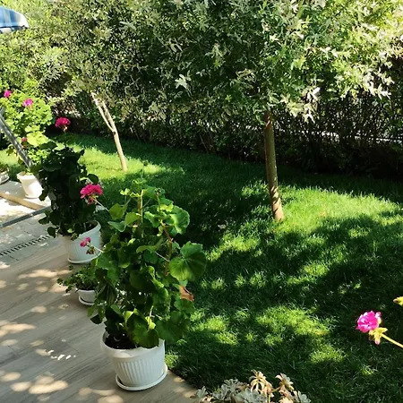 ホテル Sunny Flower Family 3*