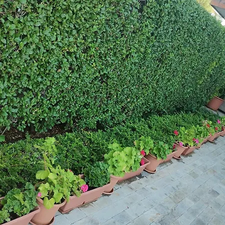 ホテル Sunny Flower Family