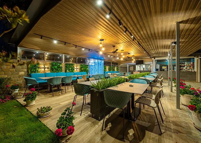 Sunny Flower Family 阳光海滩