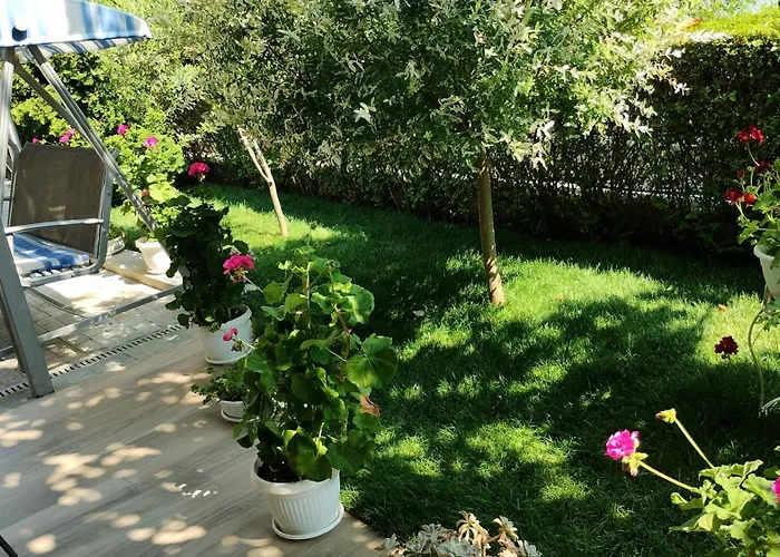 酒店 Sunny Flower Family 3*