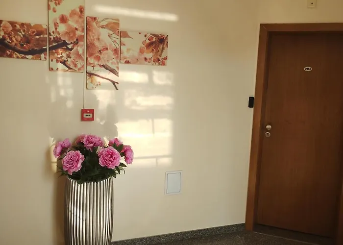 Sunny Flower Family 酒店 阳光海滩