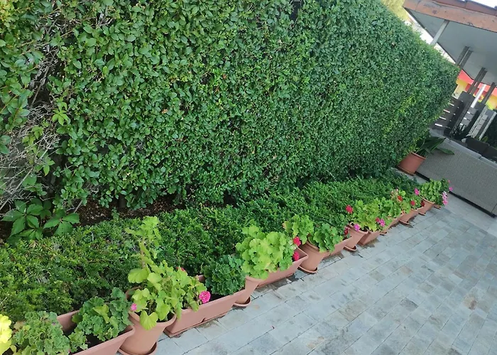 酒店 Sunny Flower Family