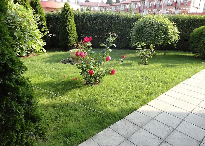 Sunny Flower Family 3* Slăntjev Brjag