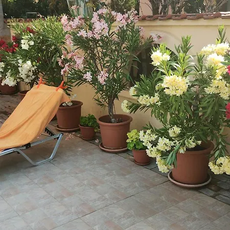 Sunny Flower Family 3*