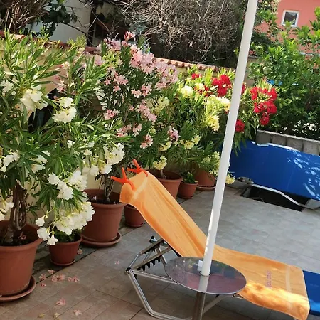 Hotel Sunny Flower Family