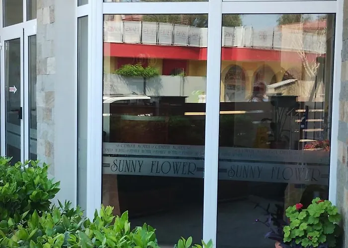 Sunny Flower Family Hotel 3*