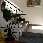 Sunny Flower Family فندق