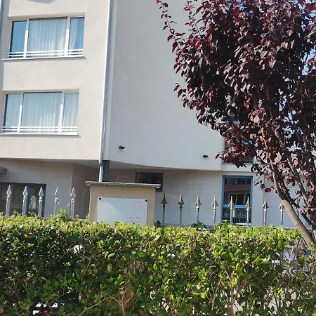 Sunny Flower Family Slantchev Briag